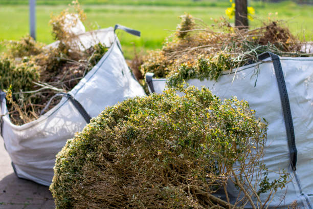 Recycling Services for Junk in Claiborne, LA